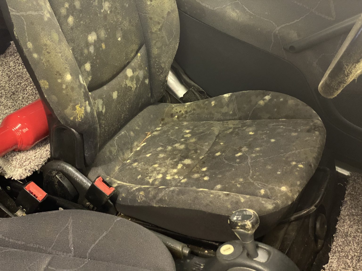 black car seats with green mold